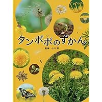 たんぽぽの秘密 | 森乃おと, ささきみえこ |本 | 通販 | Amazon